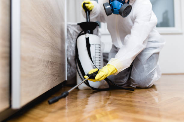 Best Insect Control  in Port Richey, FL