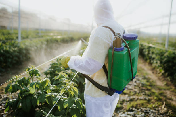 Best Rat Extermination Near Me  in Port Richey, FL